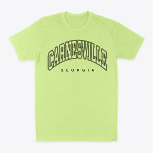 Carnesville Georgia Inline Classic Dad T-Shirt