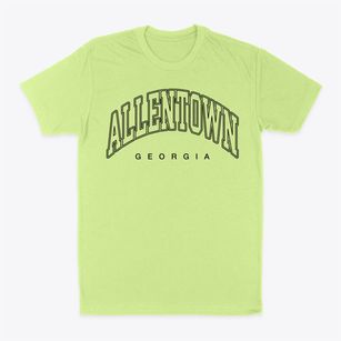Allentown Georgia Inline Classic Dad T-Shirt