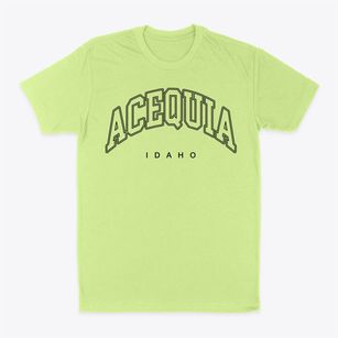Acequia Idaho Inline Classic Dad T-Shirt