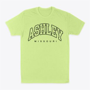 Ashley Missouri Inline Classic Dad T-Shirt
