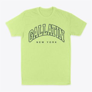 Gallatin New York Inline Classic Dad T-Shirt