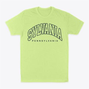 Sylvania Pennsylvania Inline Classic Dad T-Shirt