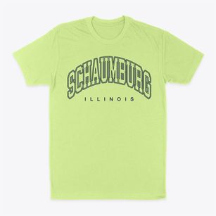 Schaumburg Illinois Inline Classic Dad T-Shirt