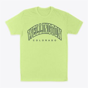 Wellington Colorado Inline Classic Dad T-Shirt