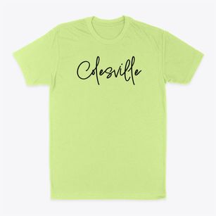 Colesville New York Freestyle Classic Dad T-Shirt
