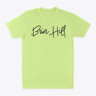 Brier Hill New York Freestyle Classic Dad T-Shirt