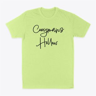 Coeymans Hollow New York Freestyle Classic Dad T-Shirt