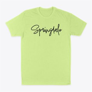 Springdale Pennsylvania Freestyle Classic Dad T-Shirt