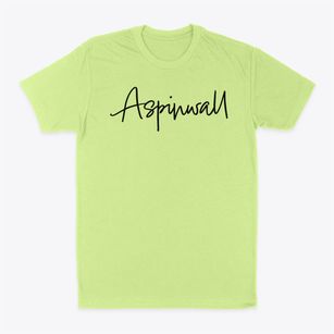 Aspinwall Pennsylvania Freestyle Classic Dad T-Shirt