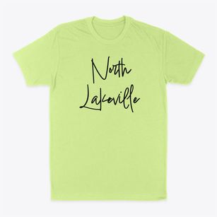 North Lakeville Massachusetts Freestyle Classic Dad T-Shirt