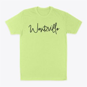 Wentzville Missouri Freestyle Classic Dad T-Shirt
