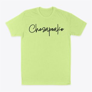 Chesapeake West Virginia Freestyle Classic Dad T-Shirt
