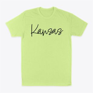 Kansas Illinois Freestyle Classic Dad T-Shirt