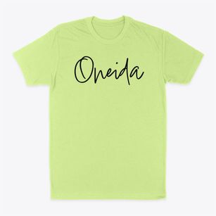 Oneida Illinois Freestyle Classic Dad T-Shirt