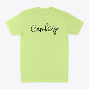 Cambridge Ohio Freestyle Classic Dad T-Shirt