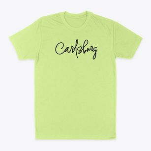 Carlsburg Illinois Freestyle Classic Dad T-Shirt