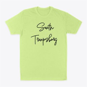 South Troupsburg New York Freestyle Classic Dad T-Shirt
