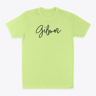 Gilmer Illinois Freestyle Classic Dad T-Shirt
