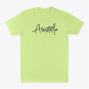 Aristotle New York Freestyle Classic Dad T-Shirt