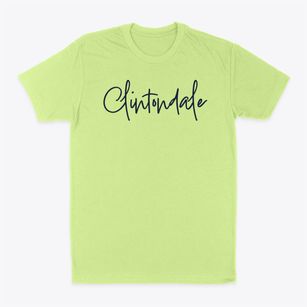 Clintondale New York Freestyle Classic Dad T-Shirt