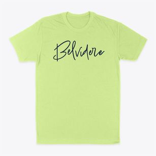 Belvidere Illinois Freestyle Classic Dad T-Shirt