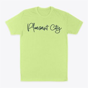 Pleasant City Ohio Freestyle Classic Dad T-Shirt