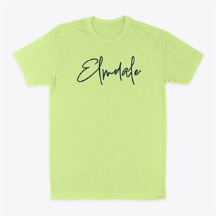 Elmdale Minnesota Freestyle Classic Dad T-Shirt