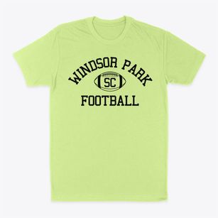 Windsor Park South Carolina Football Classic Dad T-Shirt