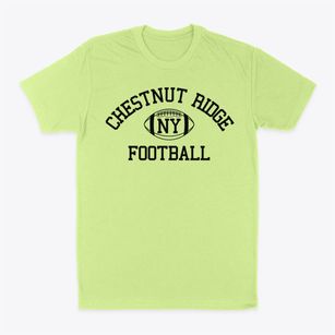 Chestnut Ridge New York Football Classic Dad T-Shirt