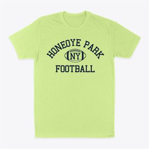 Honeoye Park New York Football Classic Dad T-Shirt