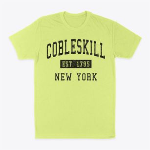 Cobleskill New York Classic Established Classic Dad T-Shirt
