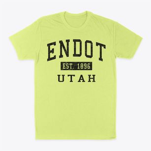 Endot Utah Classic Established Classic Dad T-Shirt