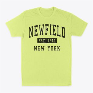 Newfield New York Classic Established Classic Dad T-Shirt