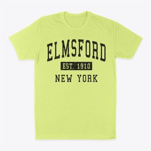 Elmsford New York Classic Established Classic Dad T-Shirt