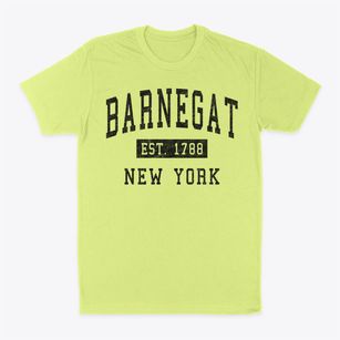 Barnegat New York Classic Established Classic Dad T-Shirt