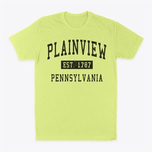Plainview Pennsylvania Classic Established Classic Dad T-Shirt