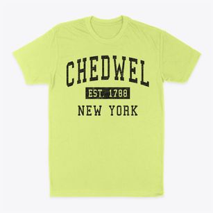 Chedwel New York Classic Established Classic Dad T-Shirt
