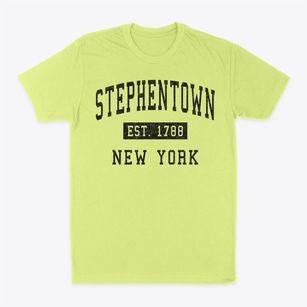 Stephentown New York Classic Established Classic Dad T-Shirt