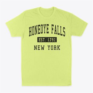 Honeoye Falls New York Classic Established Classic Dad T-Shirt