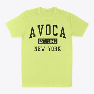Avoca New York Classic Established Classic Dad T-Shirt