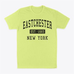 Eastchester New York Classic Established Classic Dad T-Shirt