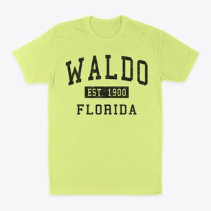 Waldo Florida Classic Established Classic Dad T-Shirt
