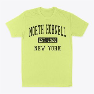 North Hornell New York Classic Established Classic Dad T-Shirt
