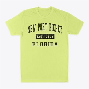 New Port Richey Florida Classic Established Classic Dad T-Shirt
