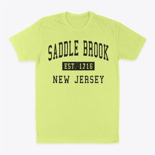 Saddle Brook New Jersey Classic Established Classic Dad T-Shirt