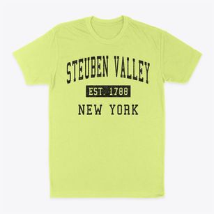 Steuben Valley New York Classic Established Classic Dad T-Shirt