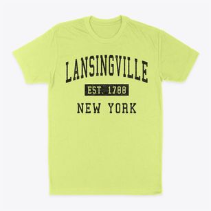 Lansingville New York Classic Established Classic Dad T-Shirt