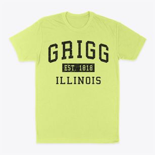 Grigg Illinois Classic Established Classic Dad T-Shirt