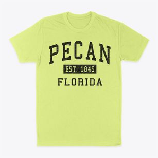 Pecan Florida Classic Established Classic Dad T-Shirt