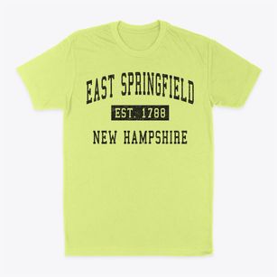 East Springfield New Hampshire Classic Established Classic Dad T-Shirt